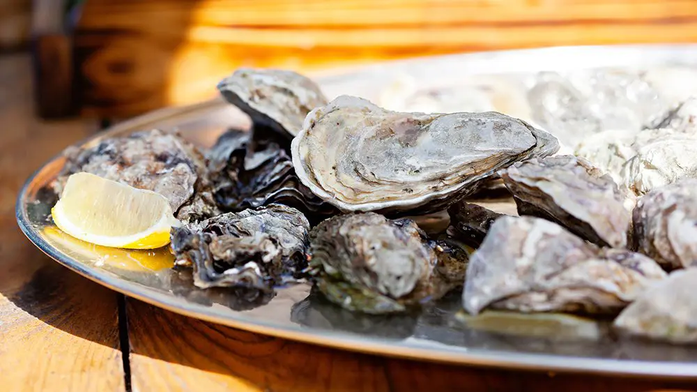 Coastal GA – South Carolina Chapter Oyster Roast