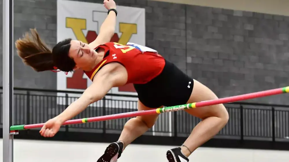 pole vaulter clearing hurdle