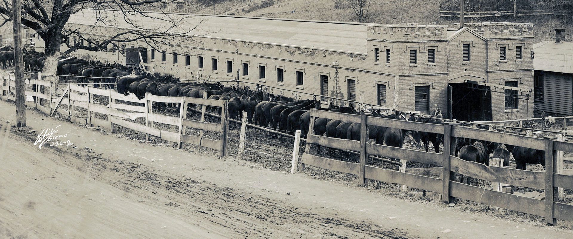 Stables from the 1920s