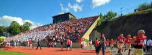 Football fans in stands