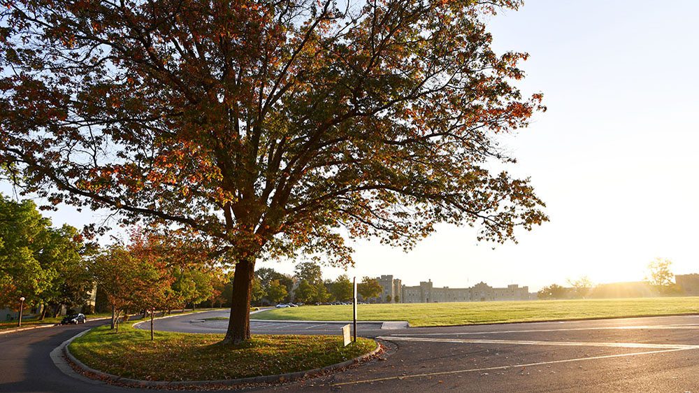 tree with fall colored leaves, barracks in the background