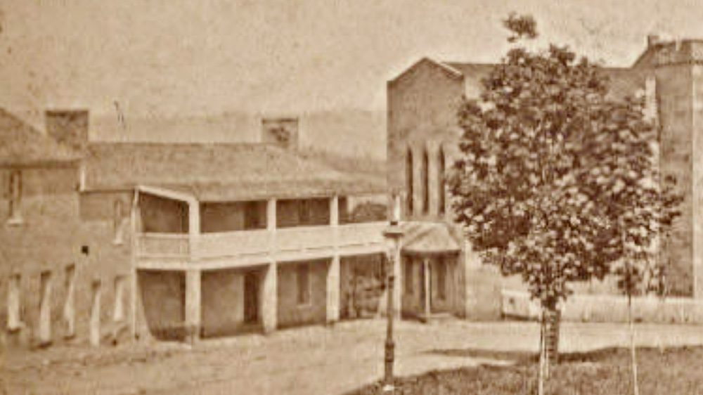 black and white photo of tree in front of VMI hospital