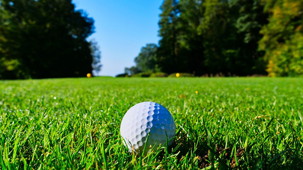 close-up of golf ball on grass