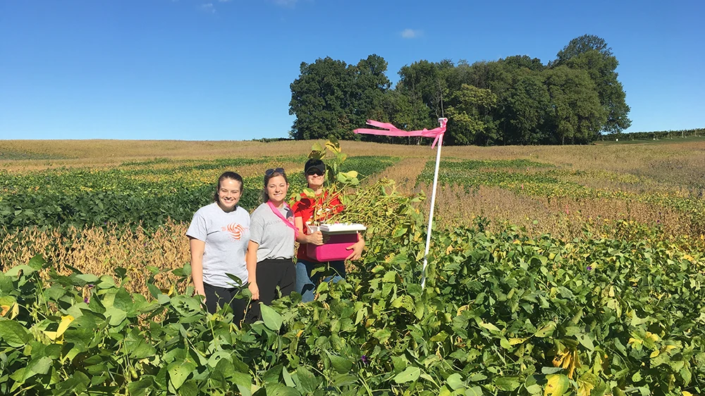 women in soybean field smiling